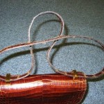 <p>※※※こちらは以前のブログに掲載していた内容です※※※ こんにちは、樋口です。 当店で展開している５つのサービスの中で一番ご利用者が多いのが、メンテナンスサービスです。　　本日は先日このサービスをご利用頂いたお客様からと [...]</p>
