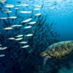 <p>※※※こちらは以前のブログに掲載していた内容です※※※ こんにちは。 プリマベーラ店　店長の井口です。 本日は、メンテナンスサービスでの素敵な出会いをご紹介させて頂きます。 そのお客様からメンテナンスサービスのお見積りの [...]</p>
